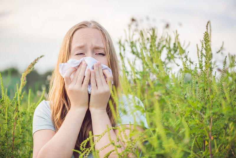 Wat helpt tegen hooikoorts? 7 natuurlijke tips