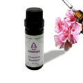 Etherische olie Geranium bourbon - 11 ml