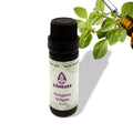 Etherische olie Oregano - 11 ml