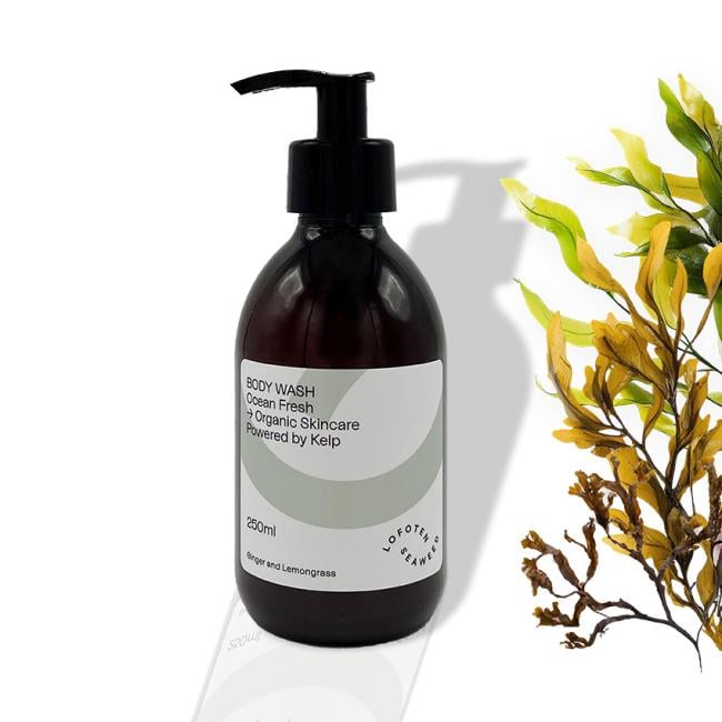 Lofoten Seaweed Shampoo Ocean Boost – 250 ml