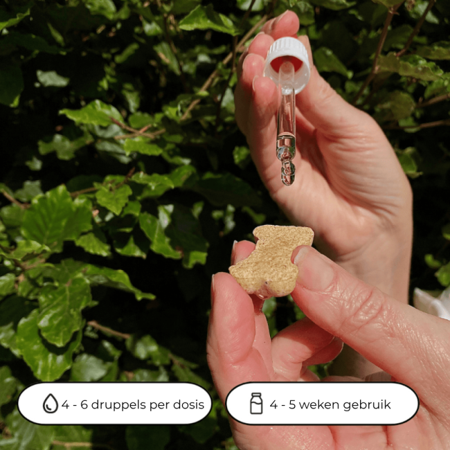 Yarrah hondenkoekjes - Bio 500 gram
