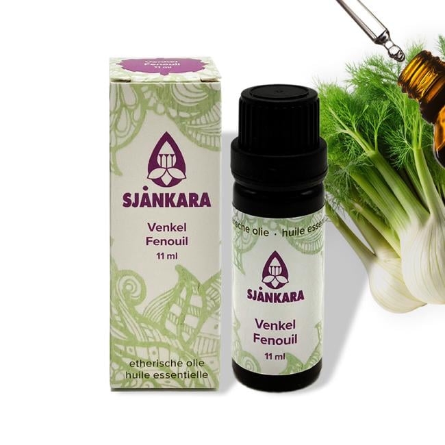 Etherische olie Venkel – 11 ml