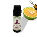 Sonnentor Thee - Slaap lekker (B) engeltje