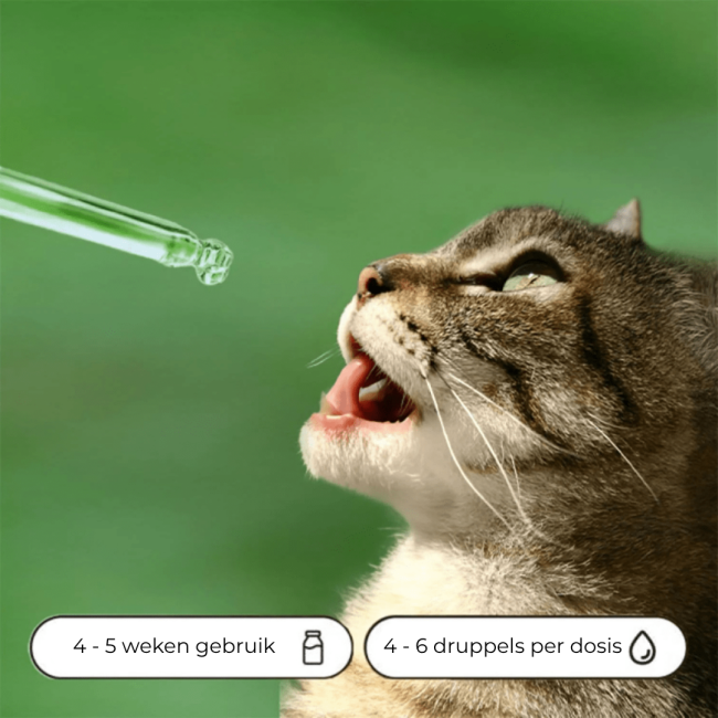 Bach Bloesem Mix Angstige Kat