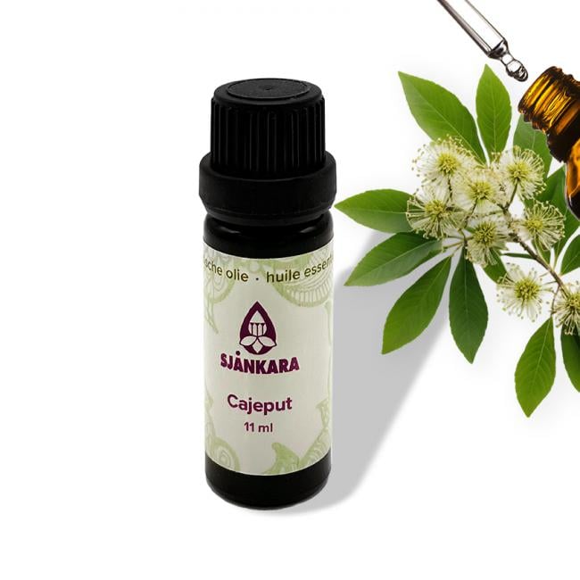 Etherische olie Cajeput - 11 ml