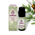 Etherische olie Atlasceder - 11 ml