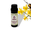 Sjankara Synergie Lente – 11 ml