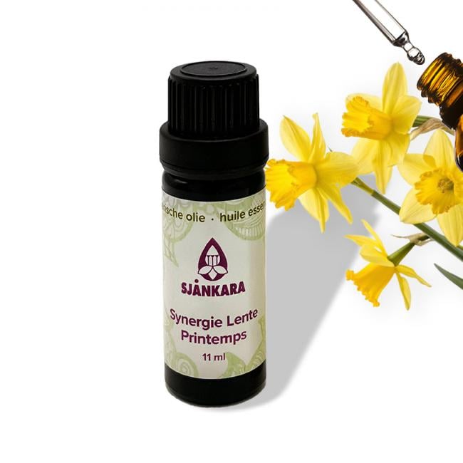 Sjankara Synergie Lente – 11 ml