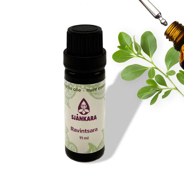 Etherische olie Ravintsara - 11 ml