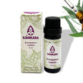 Etherische olie Eucalyptus, radiata - 11 ml