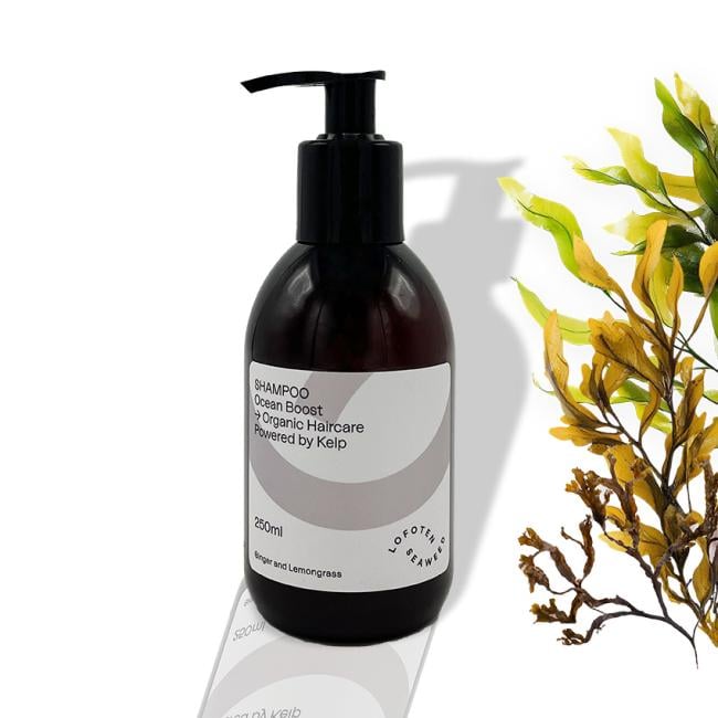 Lofoten Seaweed Shampoo Ocean Boost – 250 ml