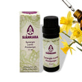 Sjankara Synergie Lente – 11 ml